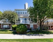 8666 Ainsdale Court, Lone Tree image