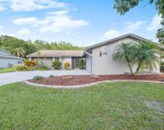 16601 Foothill Drive, Tampa image