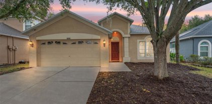 10210 Grant Creek Drive, Tampa