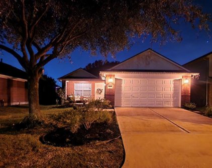 4722 Ivy Meadow Lane, Katy