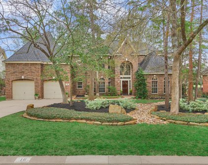 16 Thunder Hollow Place, The Woodlands