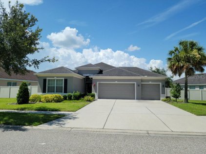 11133 Wembley Landing Drive, Lithia