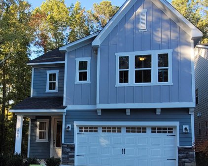 2868 Medoc Mountain, Apex
