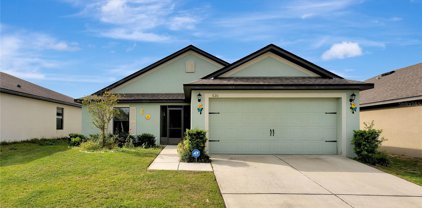 620 Swallowtail Drive, Haines City
