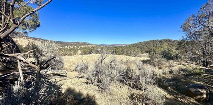 TBD Cactus Park Rd, Cedaredge