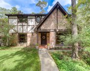 11903 N Blackjack Oak Circle, The Woodlands image