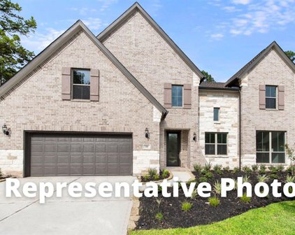 10711 Lighthouse Peak Trace, Richmond