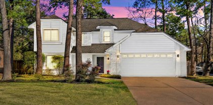 10 Sylvan Forest Drive, The Woodlands
