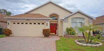 10807 Brown Trout Circle, Orlando