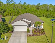 17477 Butterfly Pea Court, Clermont image