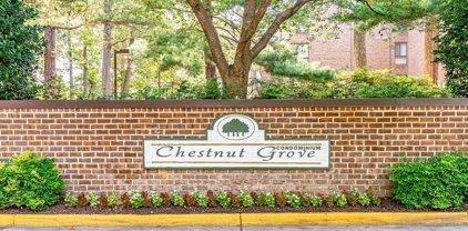 11224 Chestnut Grove Sq Unit #15, Reston