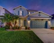 11315 Quiet Forest Drive, Tampa image