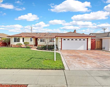 5258 Vernon Ave, Fremont