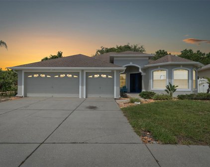 2841 Punta Palma Court, Holiday