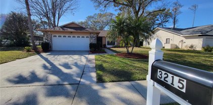 3215 Player Drive, New Port Richey