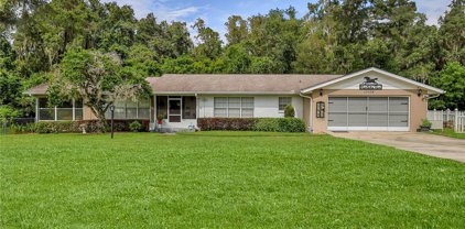 10125 Wallien Drive, Brooksville
