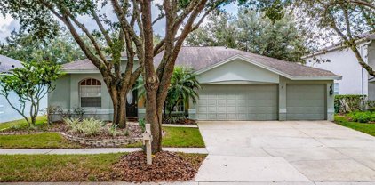 17703 Emerald Green Place, Tampa