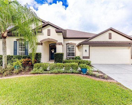 7617 Kickliter Lane, Land O' Lakes