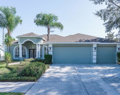 1838 Canoe Drive, Lutz
