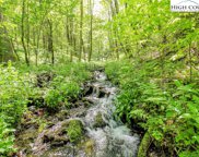 2.5 acres Apple Valley Road, Zionville image
