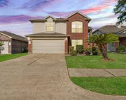 2026 Fallow Lane, Houston image