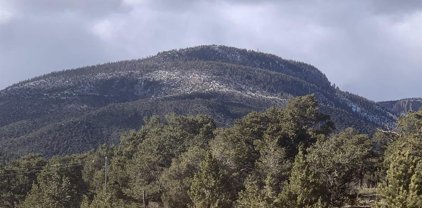 461 Rainbow Trail, South Fork