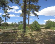 280 Indian Divide Rd, Capitan image