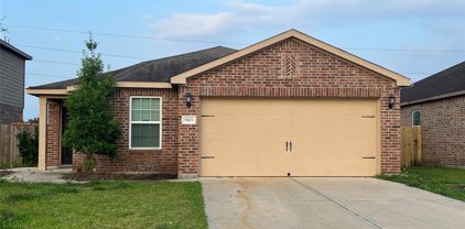 9803 Montana Sapphire Lane, Iowa Colony