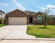 8918 Snapping Turtle Drive, Humble image