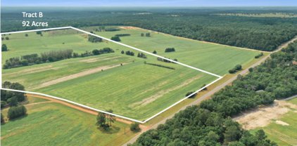 TBD FM 2869 # Tract B, Winnsboro