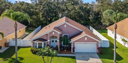 2623 Gold Dust Circle, Kissimmee