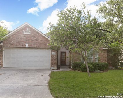 13119 Balbach Forest, Helotes