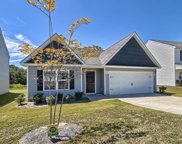 1431 Native Garden Road, Gilbert image