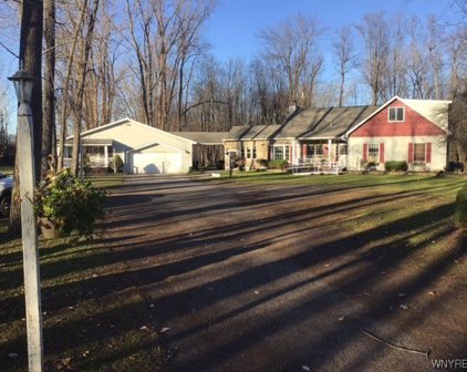 11513 S Bonnie Lake  Drive, Alden-142089