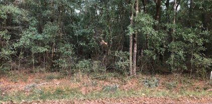 Shearouse Road, Guyton