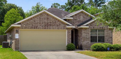 2102 Naplechase Crest Drive, Spring