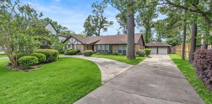 1415 Huge Oaks Street, Houston