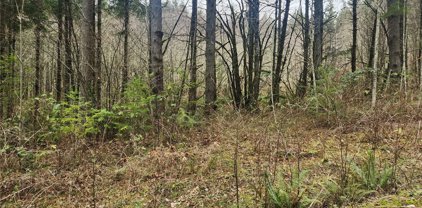 Davis Hill Rd, Centralia