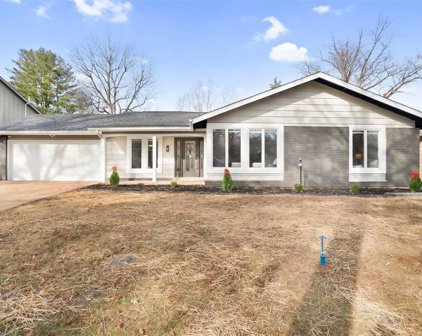 15263 Country Ridge  Drive, Chesterfield