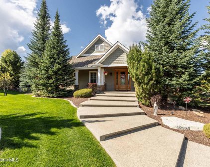 12155 YEARLING, Hayden