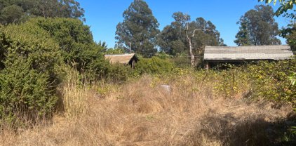 32 Crow AVE, Watsonville