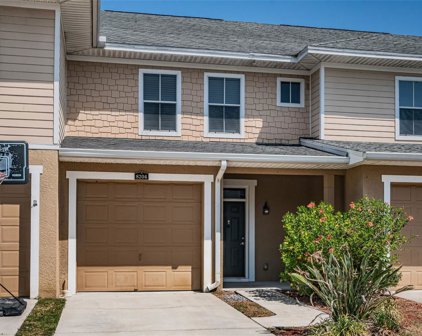 8204 Down Royal Road, Tampa