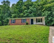 1126 Drewery Rd, Martinsville image