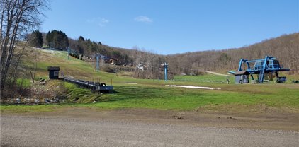 131 - 136 Woods Rd-The Woods, Ellicottville-043689
