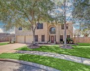 1412 Pineash Court, Pearland image
