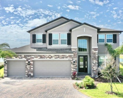 4904 Eagle Rock Drive, Wimauma