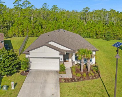 17477 Butterfly Pea Court, Clermont