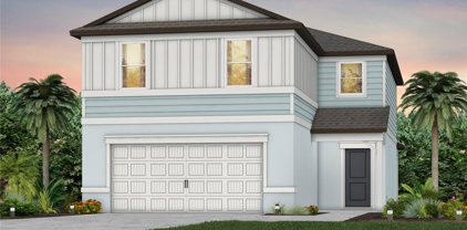 20773 S Drake Elm Drive, Land O' Lakes