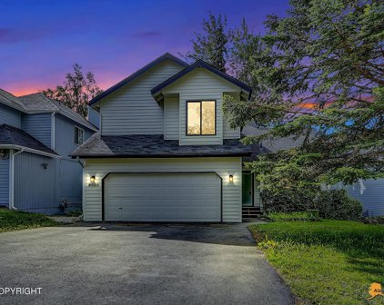 8020 Chipper Tree Circle, Anchorage