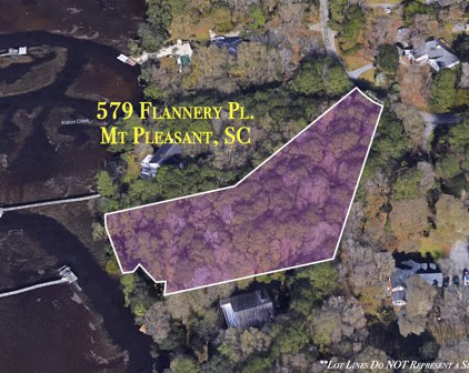 579 Flannery Place, Mount Pleasant